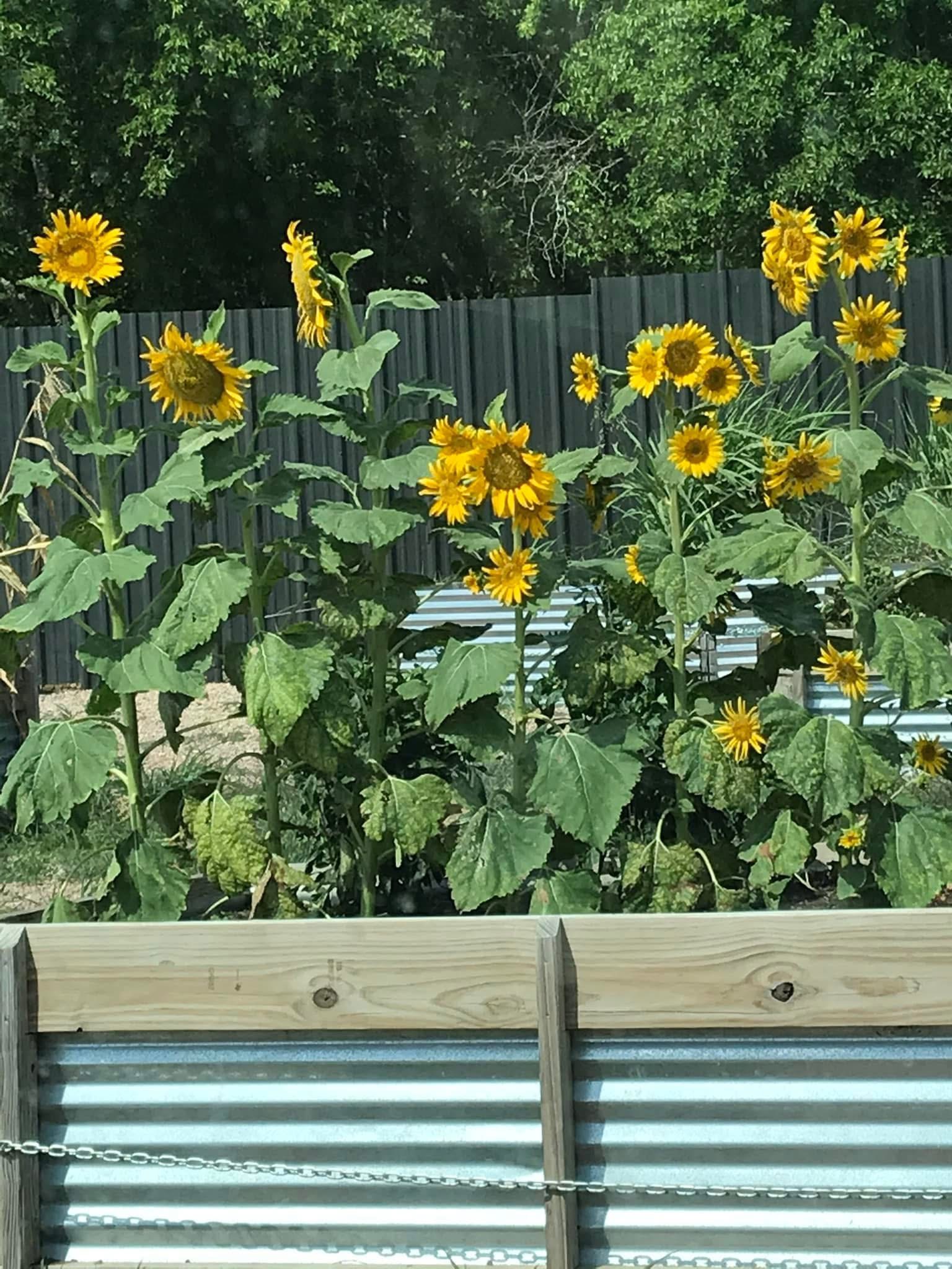 The Buzz RV Community photo 3