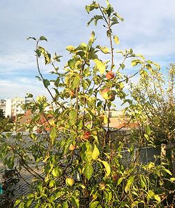 IMG_20190808_203136.jpg