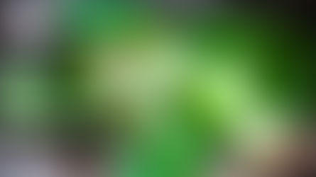 Un Smoothie Exposant Green pour démarrer la journée !