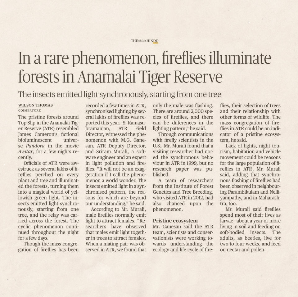 Hindu ATR Fireflies article.jpg