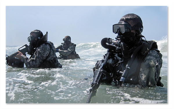 navysealmuseumSeals.png