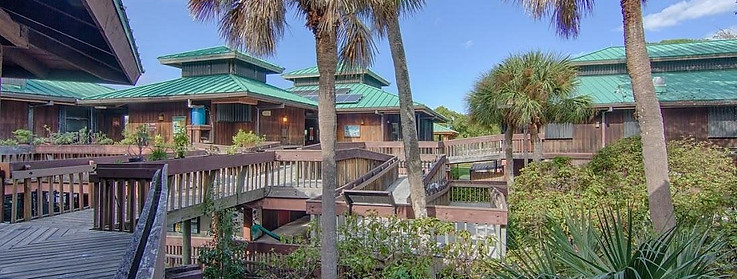 gumbo-limbo-nature-center.jpeg