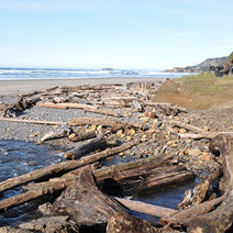 BEVERLY BEACH STATE PARK