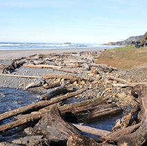 BEVERLY BEACH STATE PARK