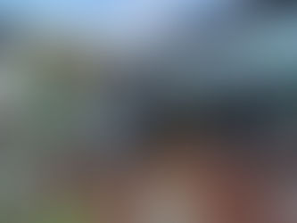 Find a Bit O’ Luck in Newport this St. Patrick’s Day!