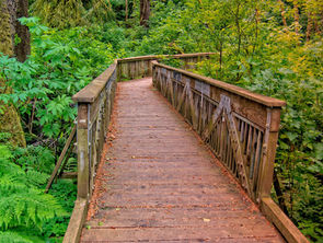 OCEAN TO BAY TRAIL