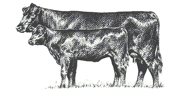cow_calf_profile.gif