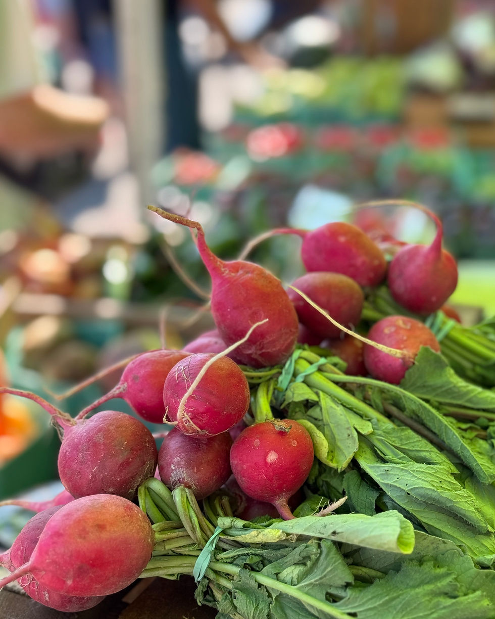 radishes farmedandforged.jpeg