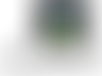 DONATE LIFE AMERICA TEAMS UP WITH PGA TOUR GOLFER | donatelife.net