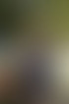 Attitude key for teen transplant recipient