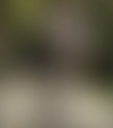 UW’s first double lung transplant still breathing easy 20 years later | Local & Regional | Seat