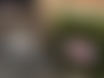 Resin Bound vs Block Paving: Which Is Better?