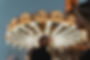 Paris-france-wedding-couple-photographer-363.jpg