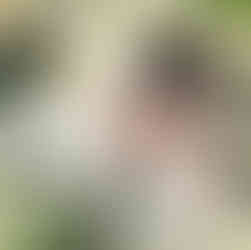 生花と撮るューボーンフォト