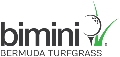 bimini.webp
