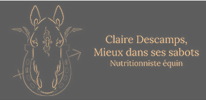 Design sans titre.png