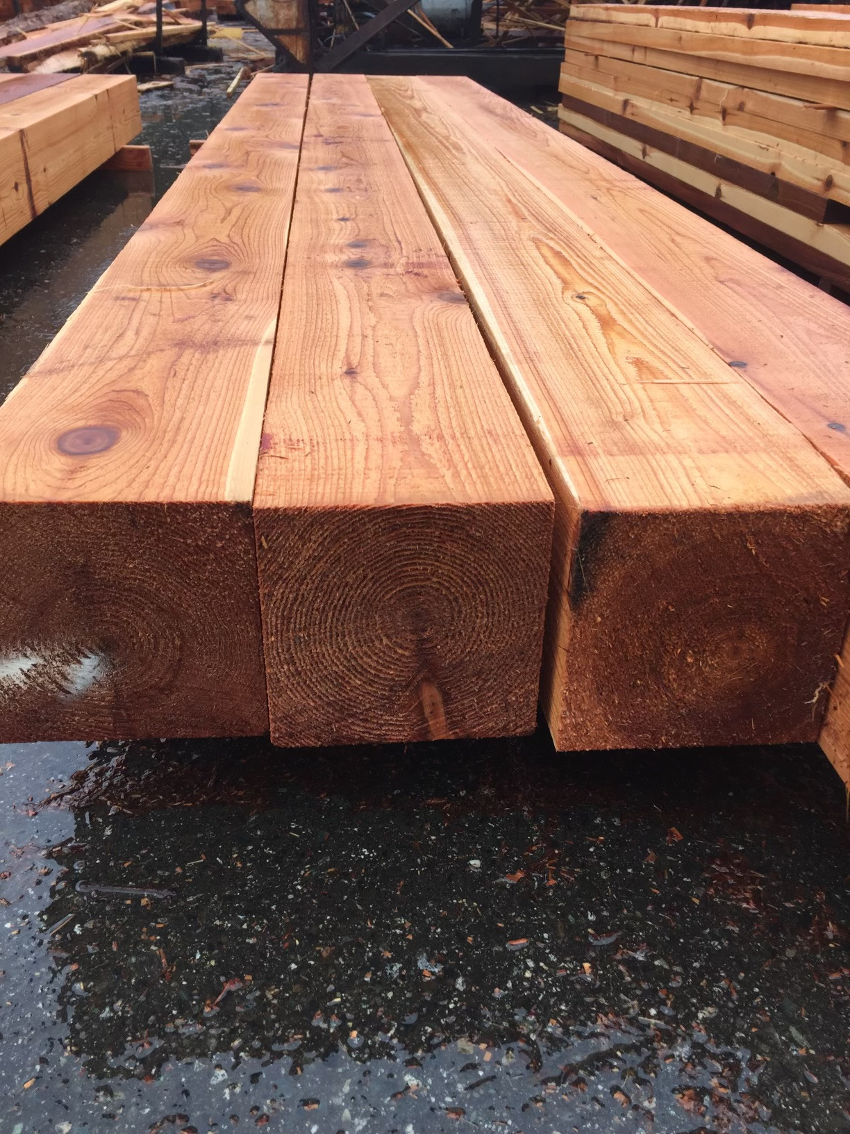 14x14 Cedar Timbers — product view 2