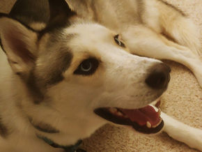 First Day with Duke