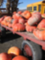 AdobeStock_340776468.jpeg