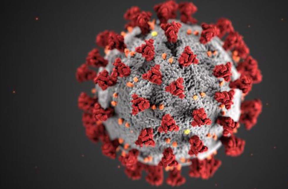 STI Virus