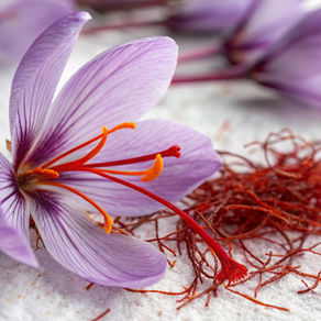 Saffron To Lift Your Mood?The golden spice for blue days