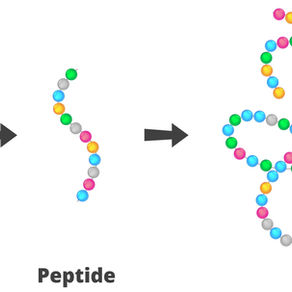 Peptides: Their Uses and Misuses