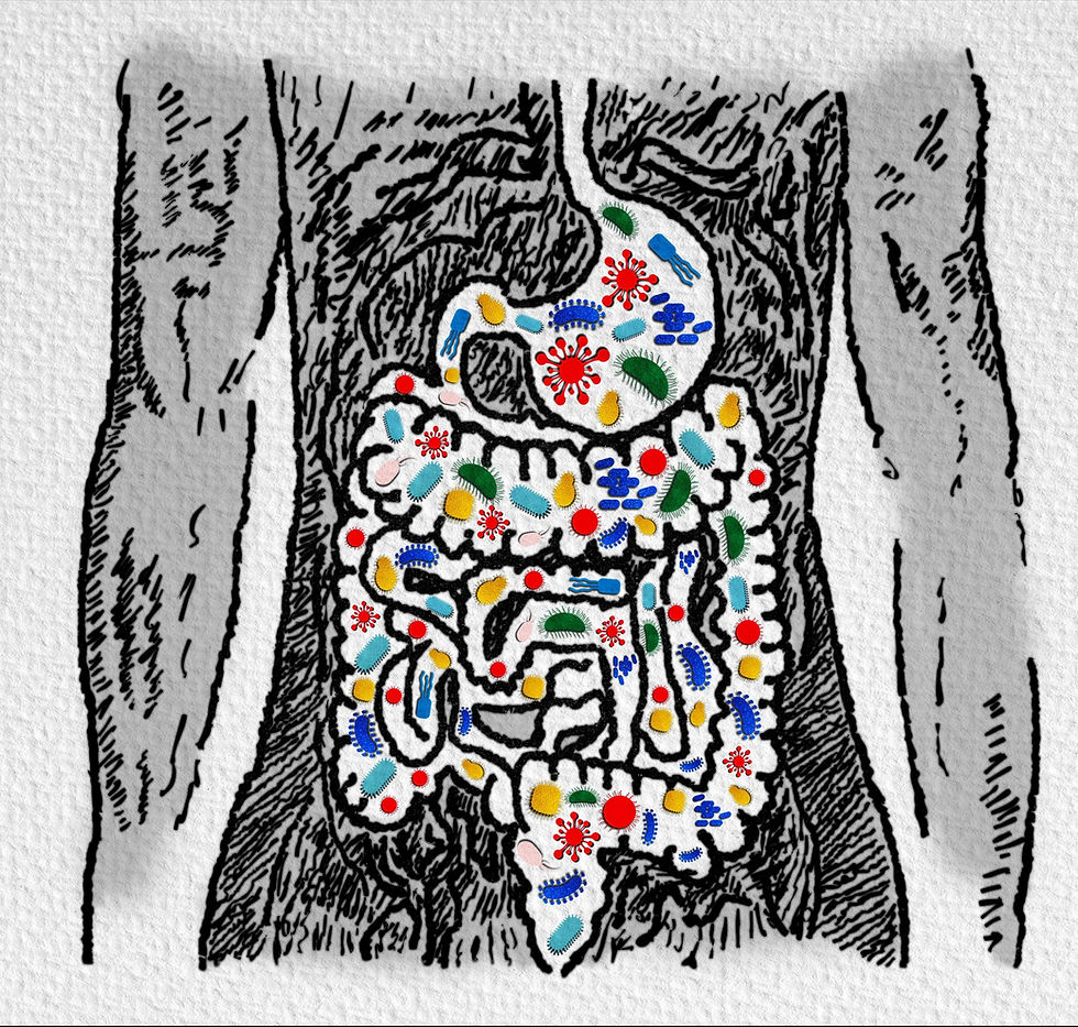 Antibiotic Resistance ReductionProbiotics to the rescue, again!