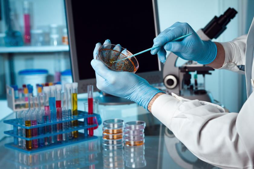 lab2