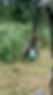 TME_Brush.jpg