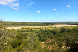 20220322_094005_edited