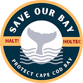 Save Our Bay Logo (AN version).png