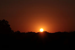 FCC04952-9DFC-4D52-A918-A99709881B87.jpeg