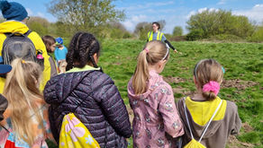 How YOU Can Help Save the Benfield Valley TODAY!