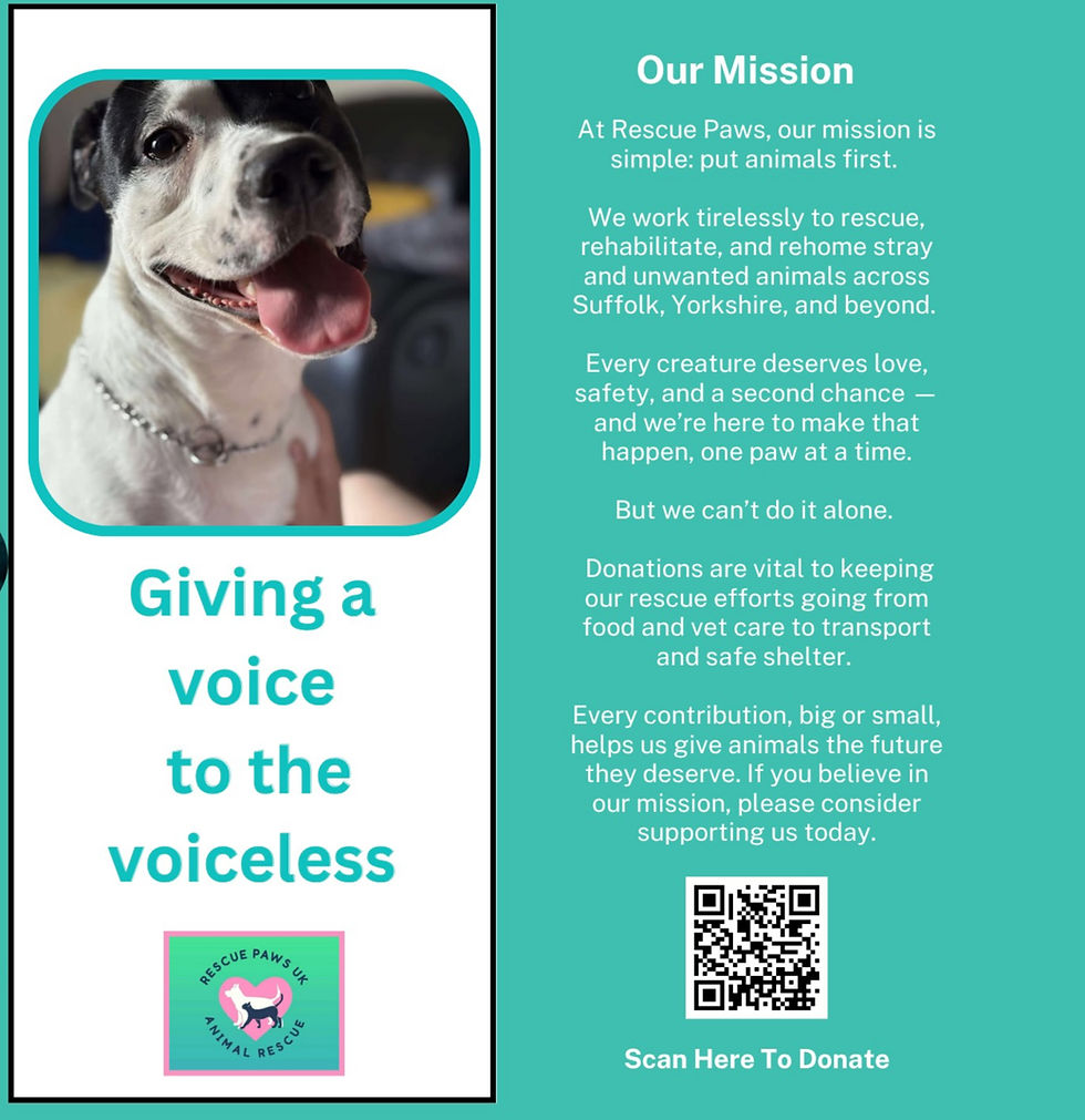 Our mission rescue paws, animal rescue Suffolk, UK