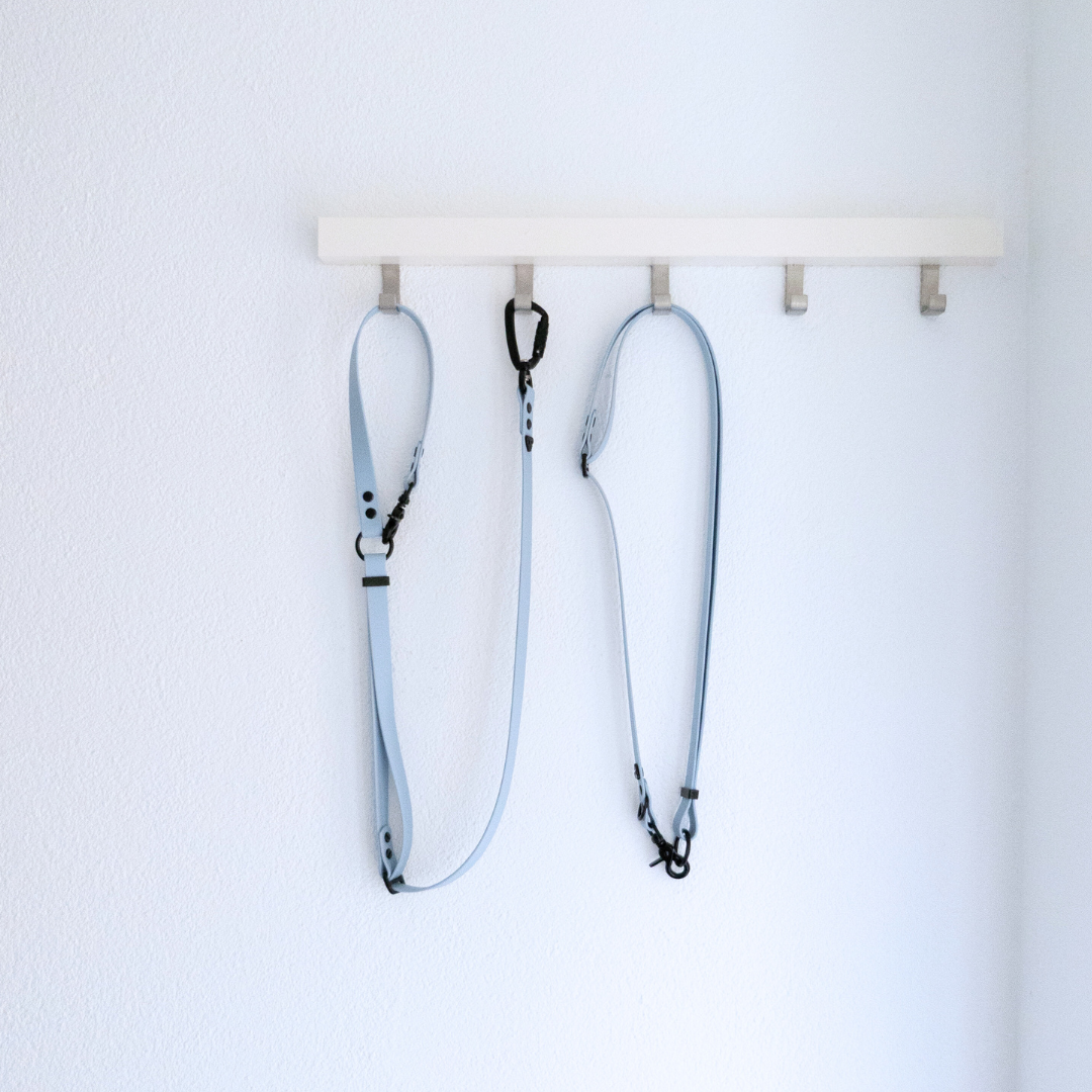 Walkset - Body Strap & Führleine aus BioThane®