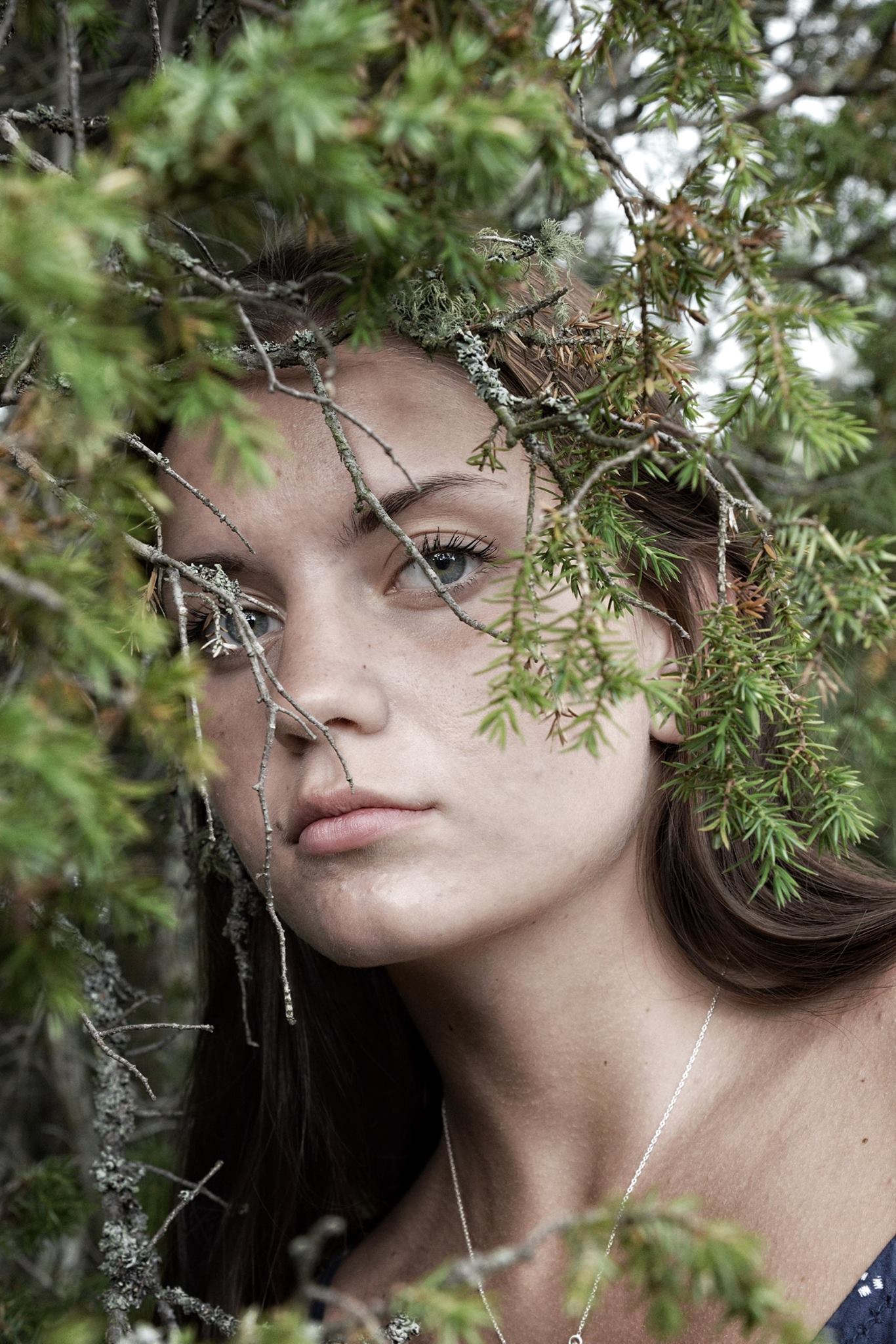 Forest fairy
