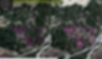 Imagery showing part of the remote district of Achin, in southern Nangarhar on the Pakistan border., On the left the imagery from 9 April 2023 shows large amounts of poppy grown alongside fields of wheat. The image on the right from 29 April 2023, shows an area where several poppy fields have been destroyed but also many fields in the surrounding area where the crop remains unscathed.