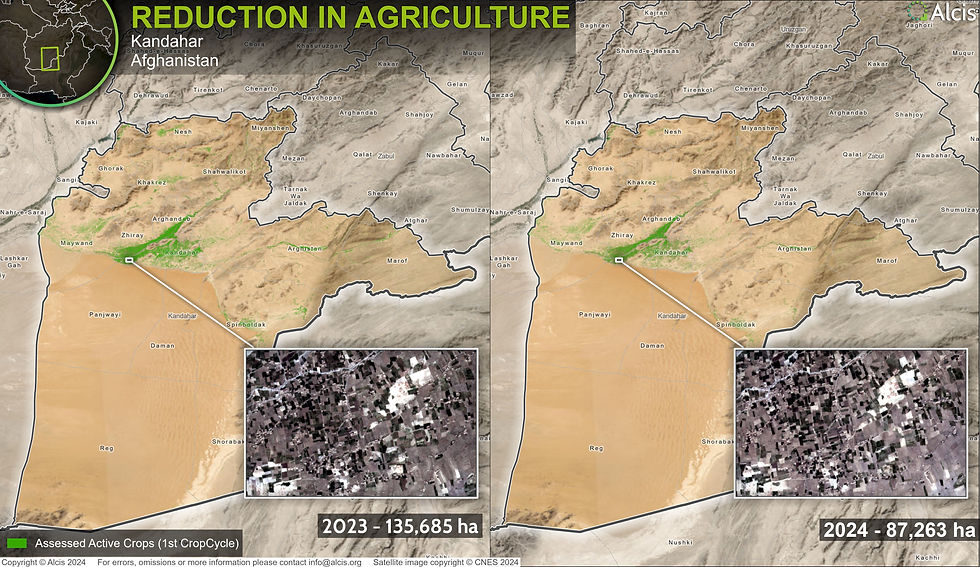 Imagery analysis showing the reduction in the amount of agricultural land in Kandahar between 2023 and 2024