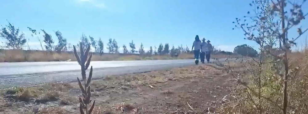 Romeiros seguem rumo a Romaria para celebrar Nossa Senhora da Abadia; apoio emociona na estrada