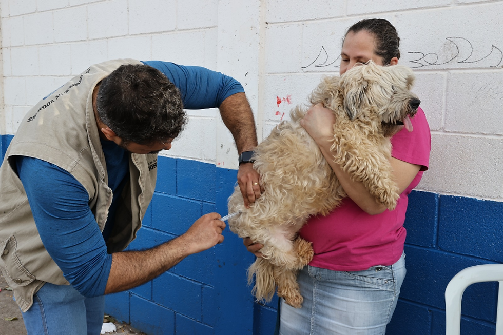Imagens: Divulgação/prefeitura