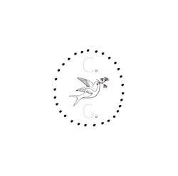 Logo + Branding