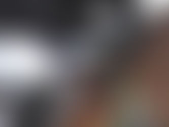 "There is no way a 100lb rider can make a 1000lb horse do thing against its will"