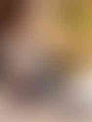 Rabbit-inspired handbag with dedication to New England Cotton Tail