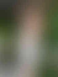 Cusuti Halter Neck Cutout Bodycon Dress | Sleeveless V Neck Lace Up Sling Long Dress