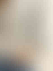 "Versatile Bell Sleeve Top for Stylish Comfort"