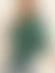 "Versatile Bell Sleeve Top for Stylish Comfort"