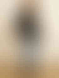 "Versatile Bell Sleeve Top for Stylish Comfort"