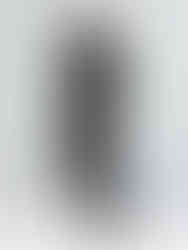 High-waisted with elastic waistband, pockets, and buttons (placement not specified)