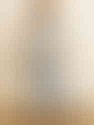 "Versatile Bell Sleeve Top for Stylish Comfort"