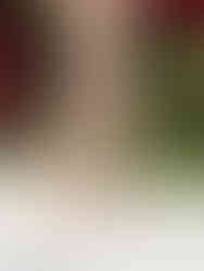 A photo of a woman wearing Cusuti coffee python print leggings with a high waist.